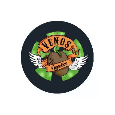 Venus Genetics auto